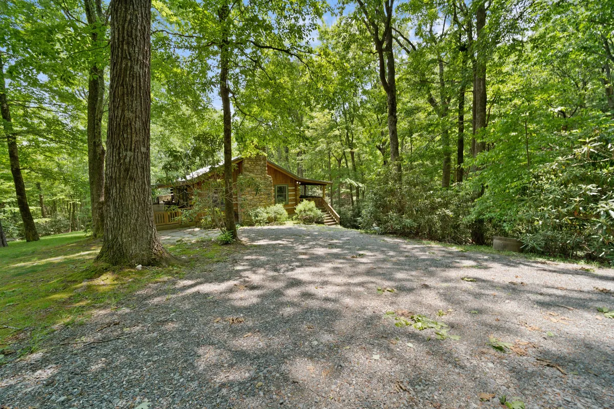 This exterior shot presents the cabin nestled among trees, with a gravel driveway leading up to it. The view highlights the surrounding forest and hints at the tranquility and opportunities for outdoor exploration right at the doorstep.